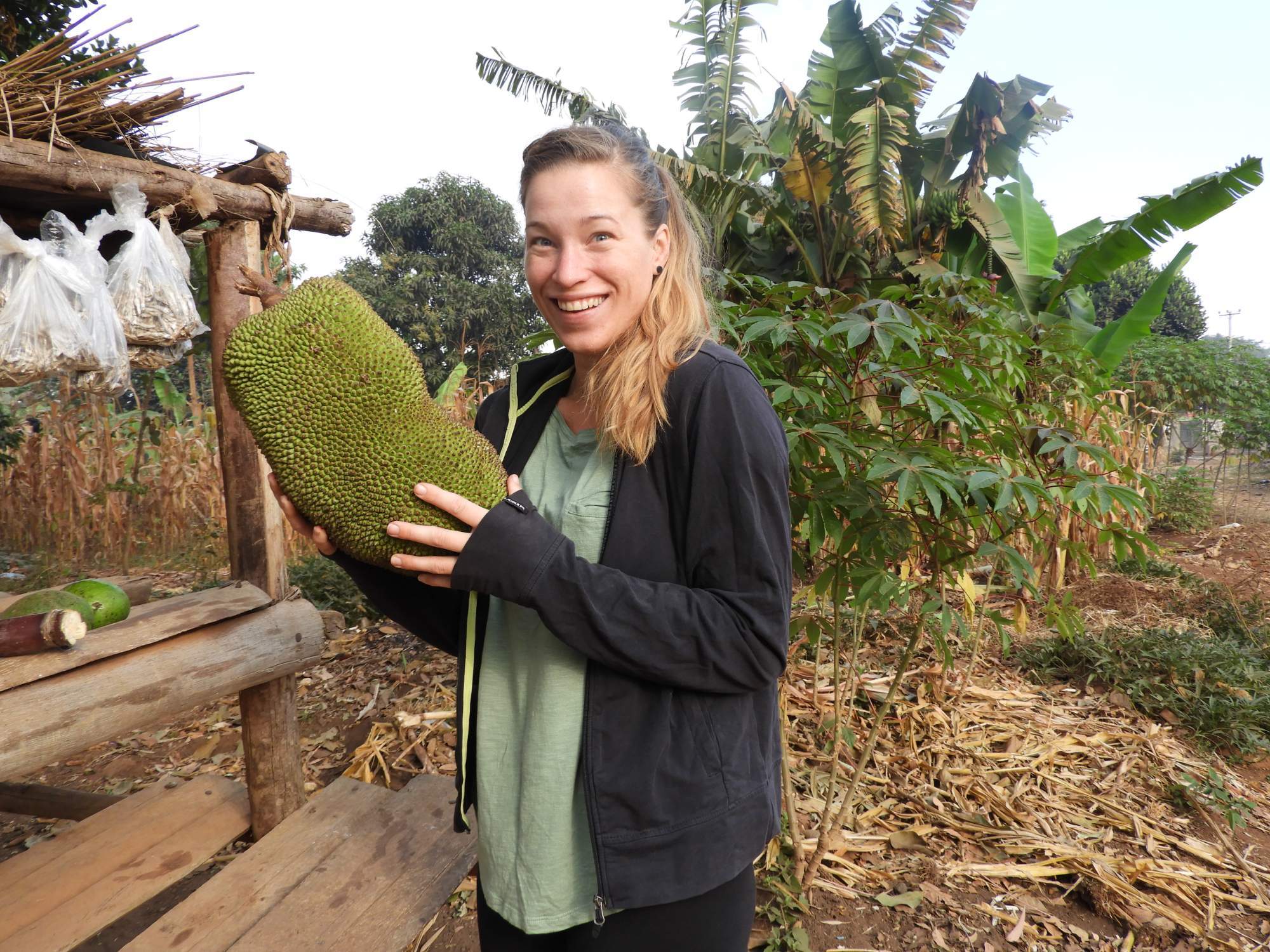 Marketa Jackfruit